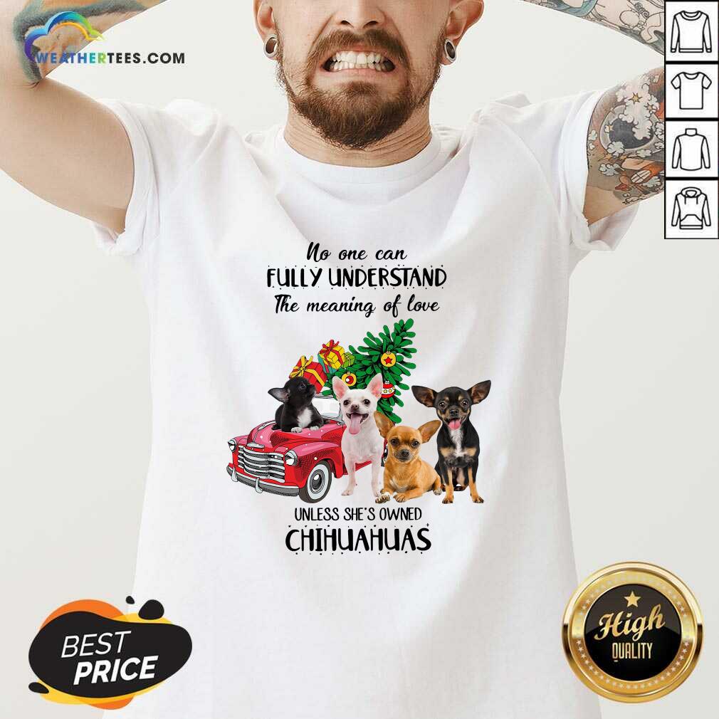 Cool No One Can Fully Understand The Meaning Of Love Chihuahuas Christmas Shirt