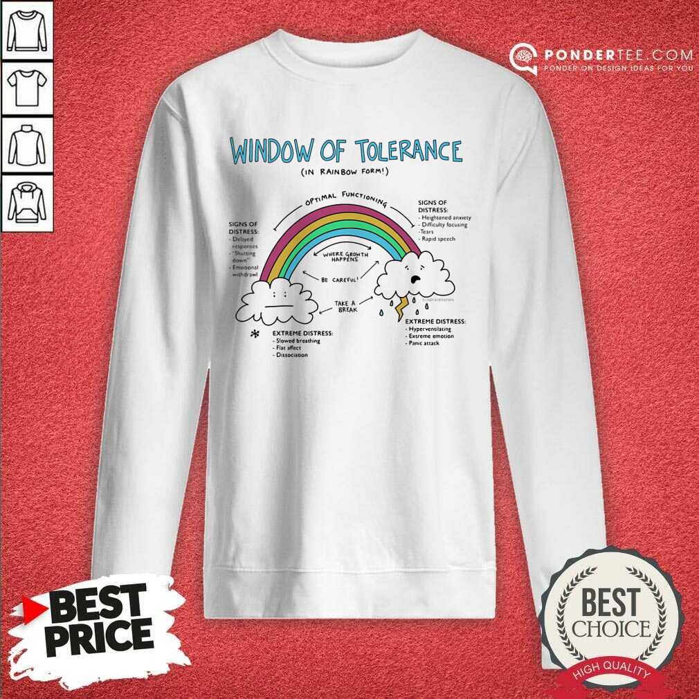 Counselor Rainbow Window Of Tolerance Shirt