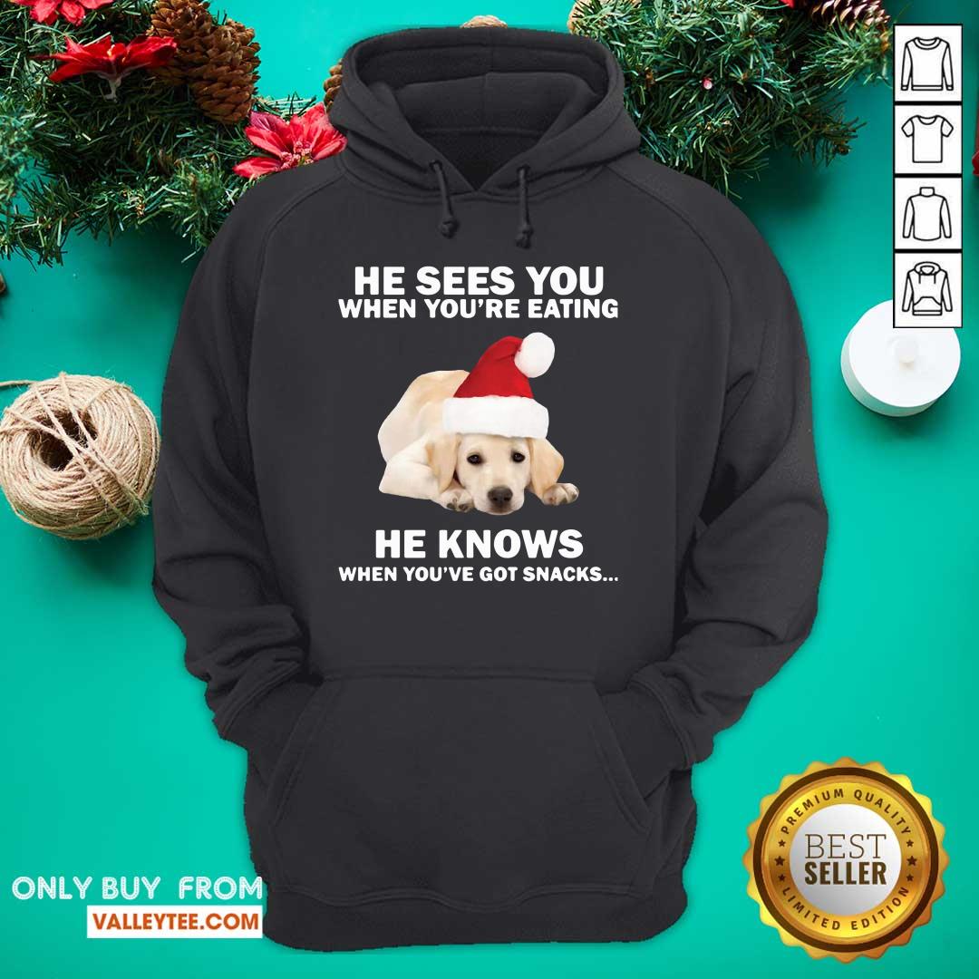 cute-labrador-he-sees-you-when-youre-eating-he-knows-when-youve-got-snacks-christmas-hoodie.jpg