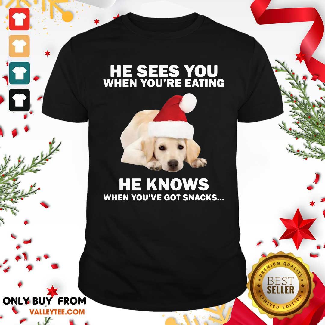 cute-labrador-he-sees-you-when-youre-eating-he-knows-when-youve-got-snacks-christmas-shirt.jpg