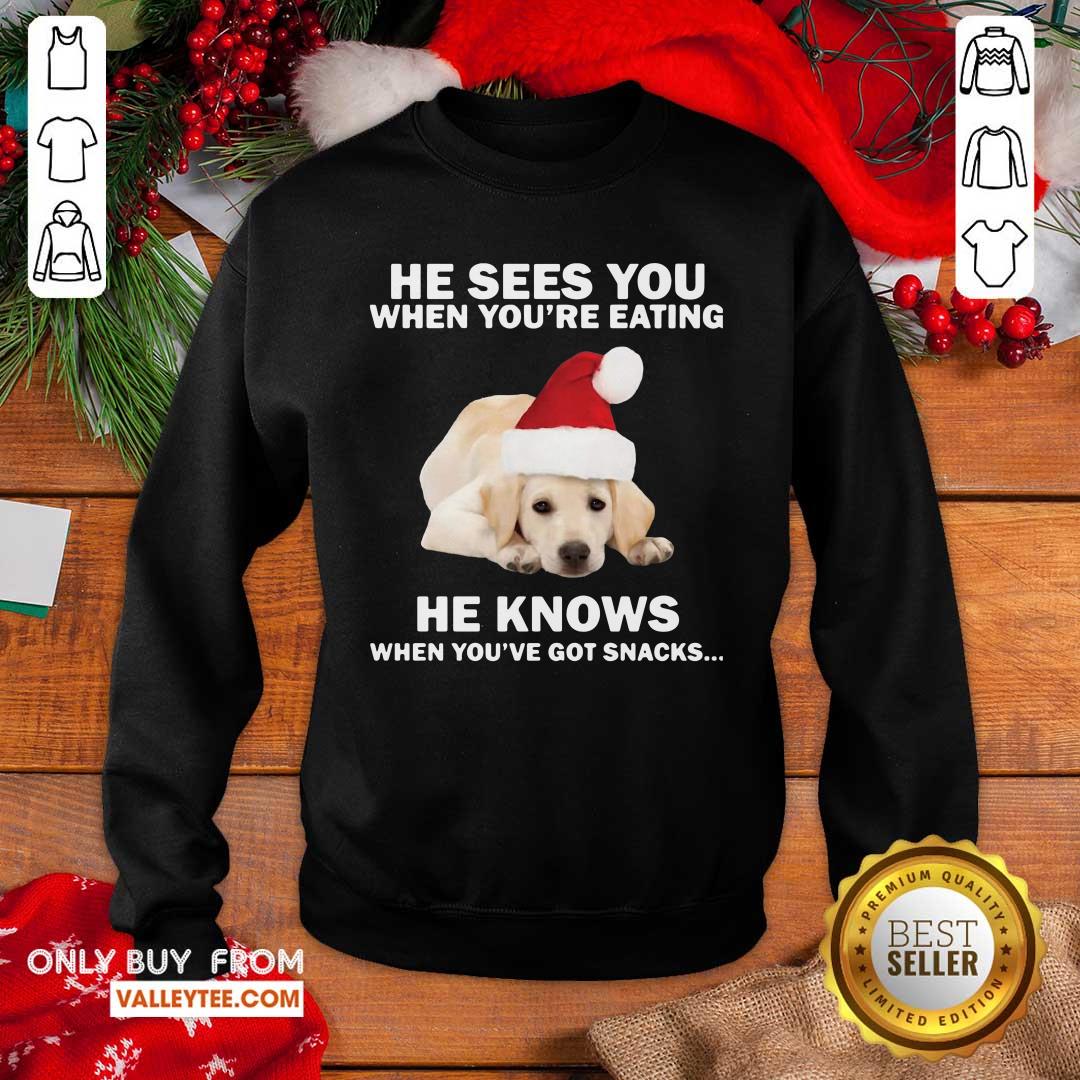 cute-labrador-he-sees-you-when-youre-eating-he-knows-when-youve-got-snacks-christmas-sweatshirt.jpg