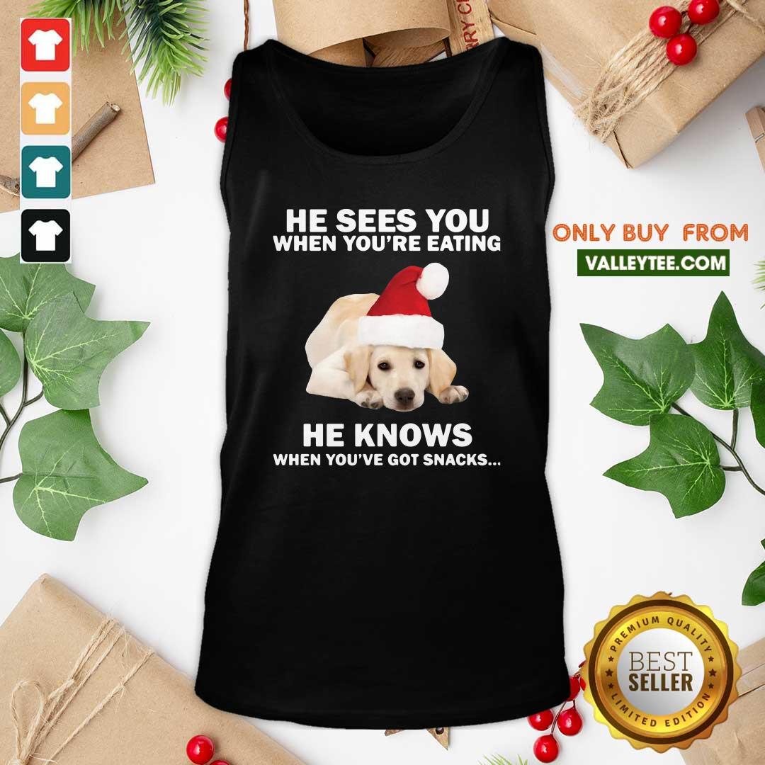 cute-labrador-he-sees-you-when-youre-eating-he-knows-when-youve-got-snacks-christmas-tank-top.jpg