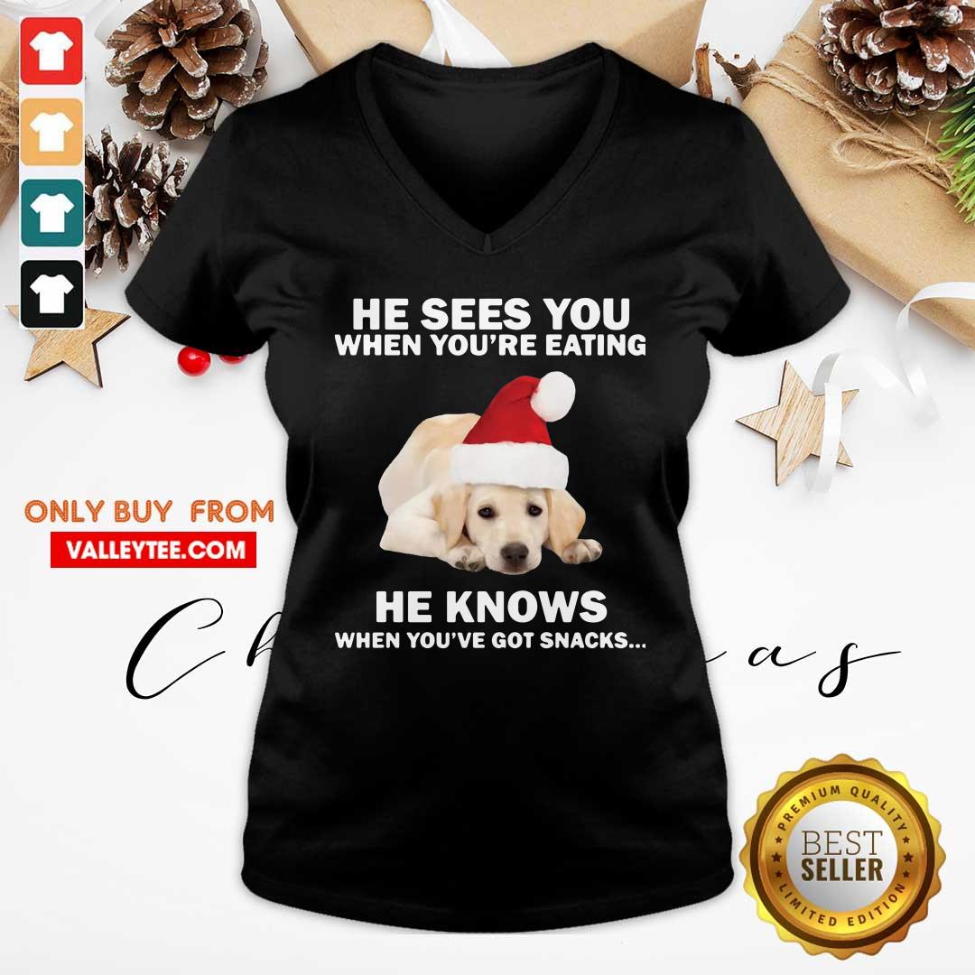 cute-labrador-he-sees-you-when-youre-eating-he-knows-when-youve-got-snacks-christmas-v-neck.jpg