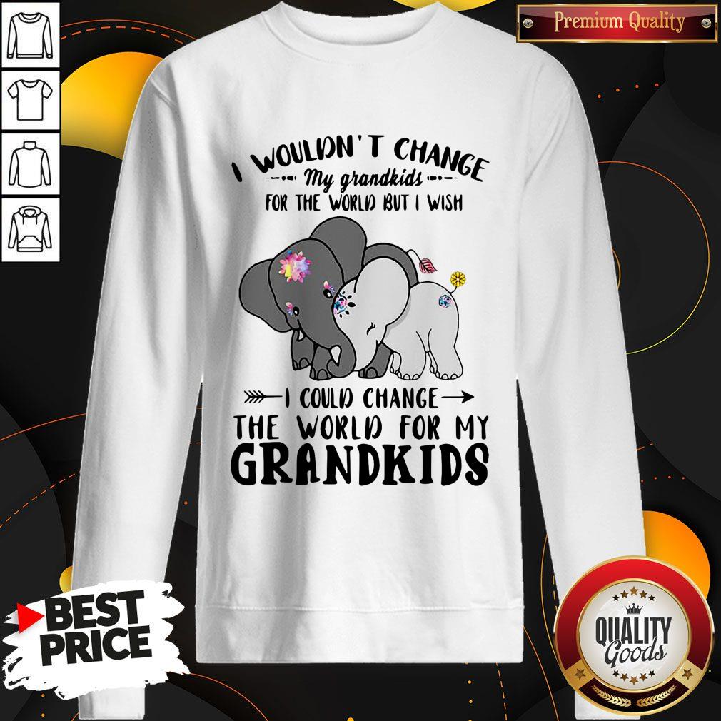 Elephant I Wouldn't Change My Grandkids For The World But I Wish Shirt