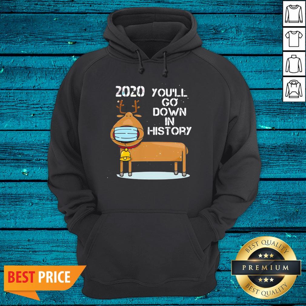 Fantastic 2020 You'll Go Down In History Reindeer Wear Mask Christmas Shirt