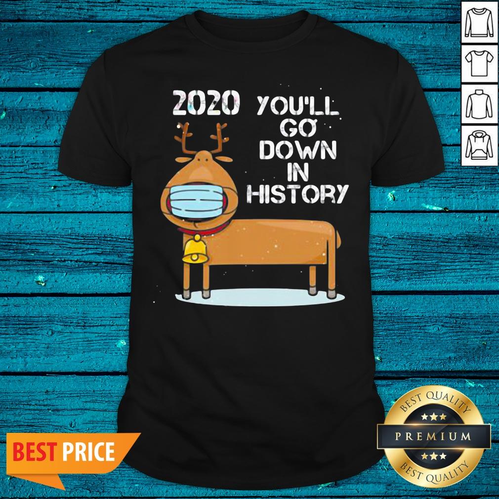 Fantastic 2020 You'll Go Down In History Reindeer Wear Mask Christmas Shirt