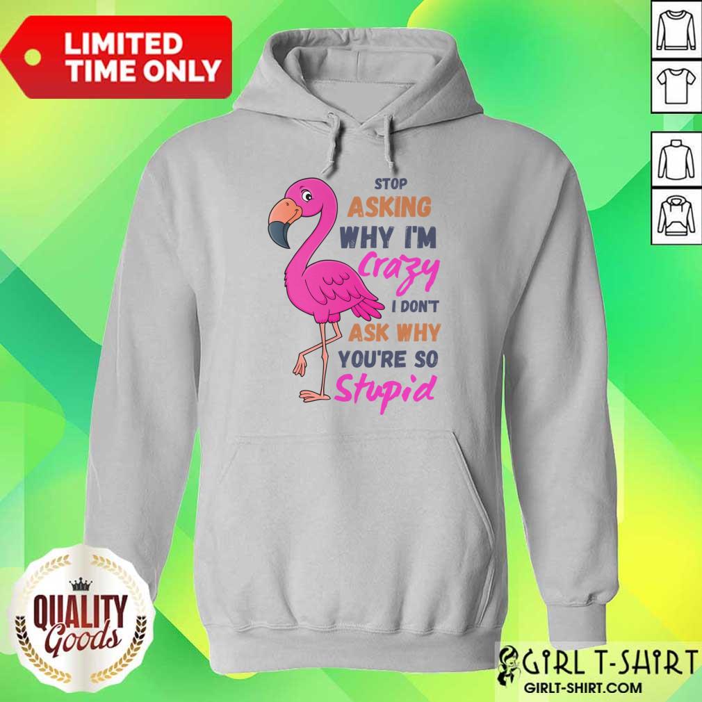 Flamingo Stop Asking Why I'm Crazy I Don't Ask Why You'Re So Stupid Shirt