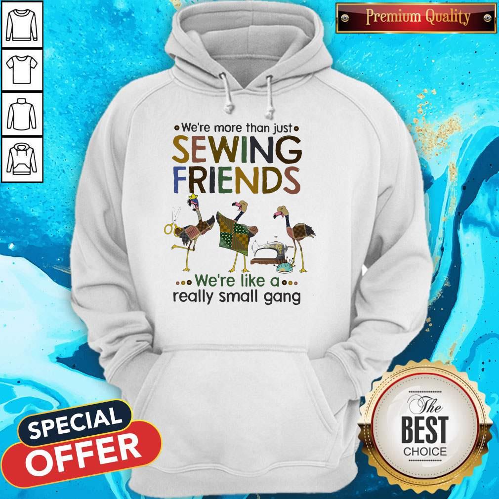 flamingo-were-more-than-just-sewing-friends-were-like-a-really-small-gang-hoodie.jpg