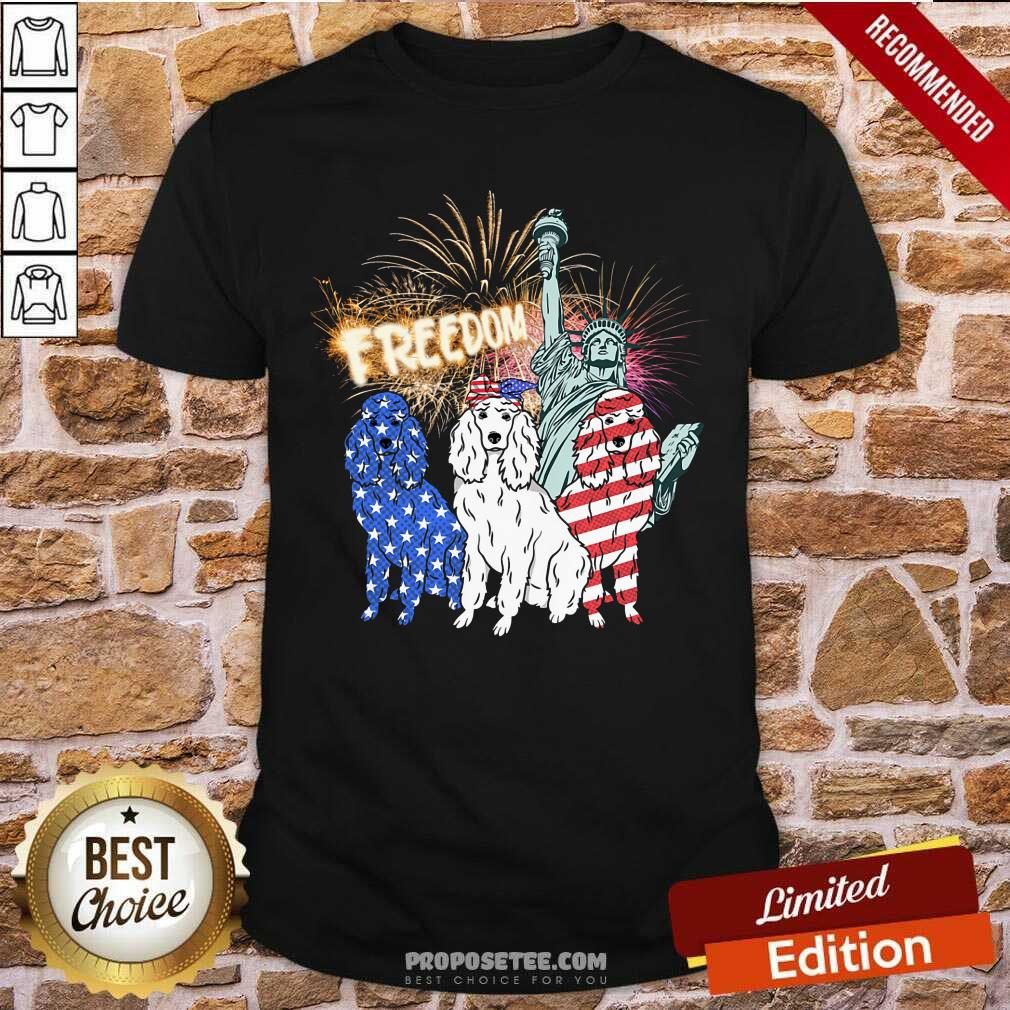 Freedom Dog Statue Of Liberty Usa Flag Shirt