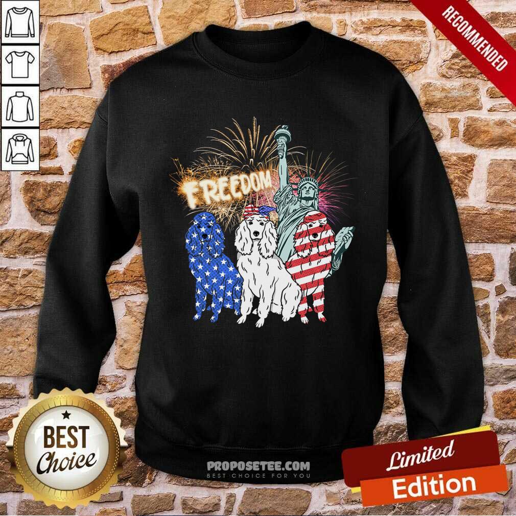 Freedom Dog Statue Of Liberty Usa Flag Shirt