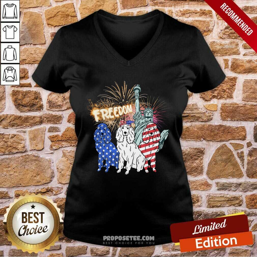 Freedom Dog Statue Of Liberty Usa Flag Shirt