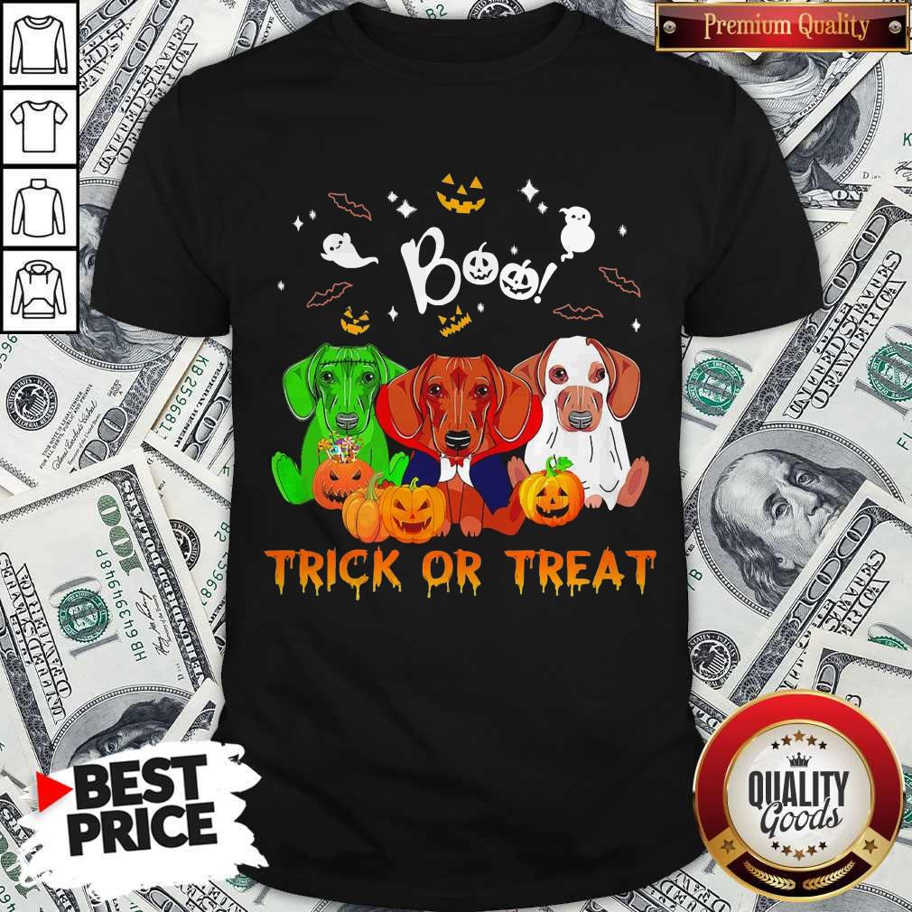 Funny Dachshund Halloween Boo Trick Or Treat Shirt