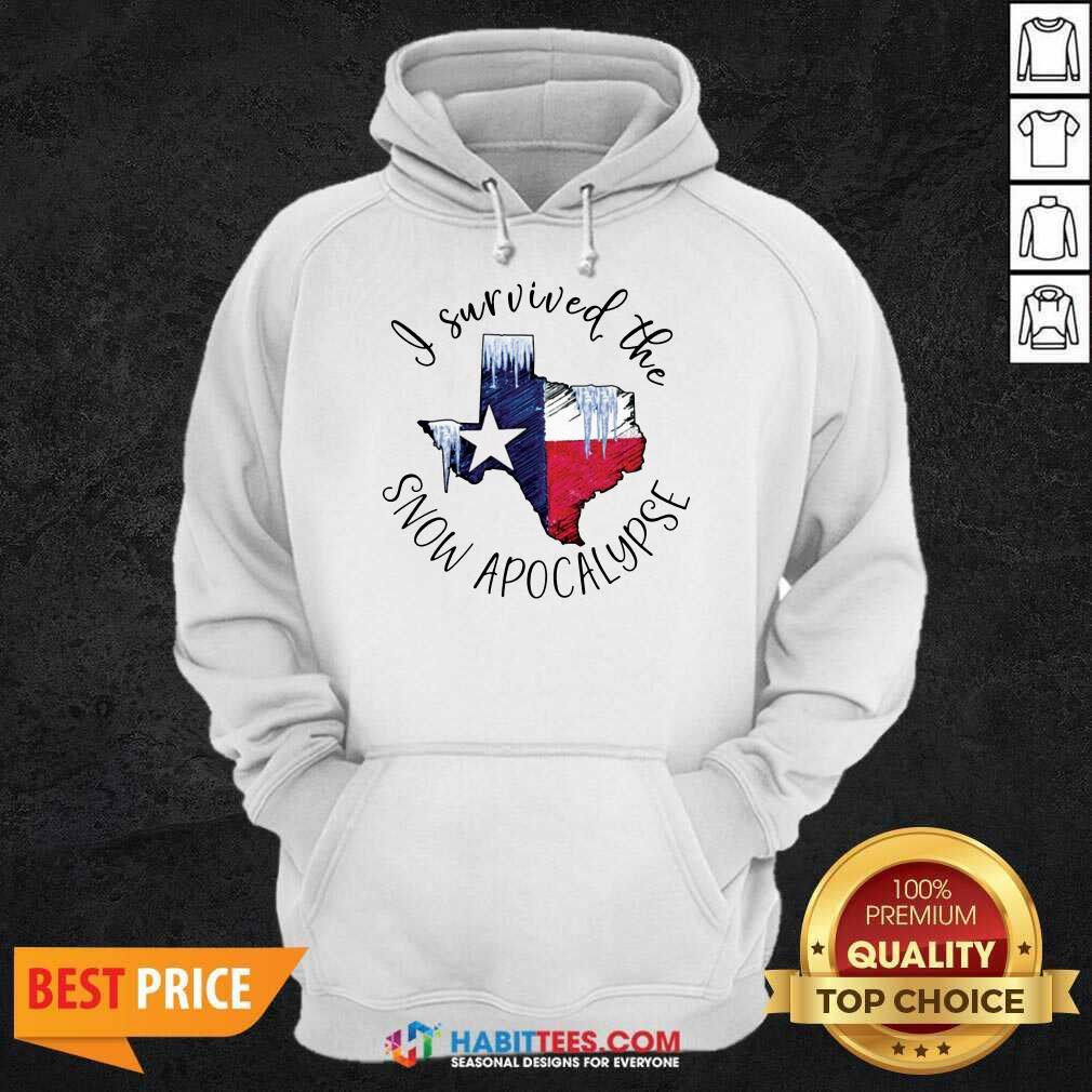 Funny I Survived The Snow Apocalypse Texas 01 Shirt