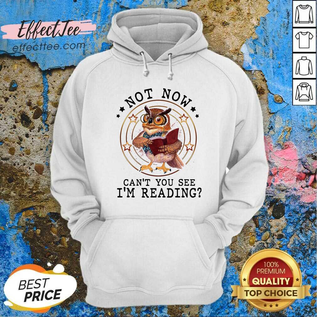 Funny Not Now Cant You See Im Reading Shirt
