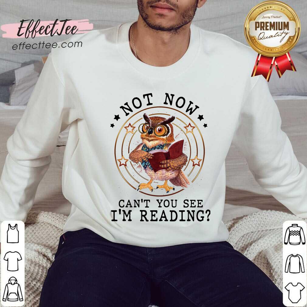 Funny Not Now Cant You See Im Reading Shirt