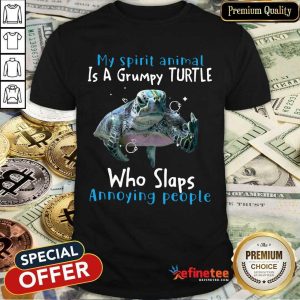 Hot My Spirit Animal Is A Grumpy Turtle Who Slaps Shirt