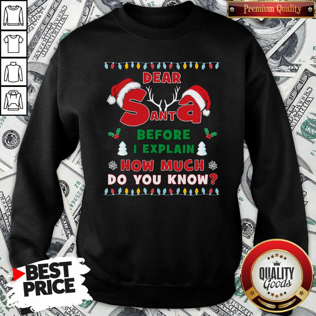 Good Dear Santa Before I Explain How Much Do You Know Christmas Shirt