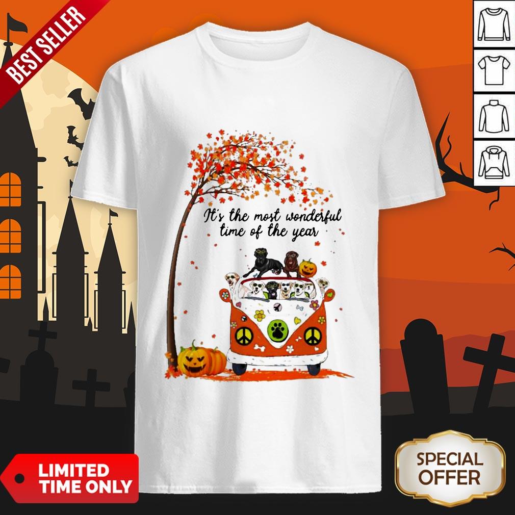 Halloween Labradors Pumpkin It’s The Most Wonderful Time Of The Year Shirt