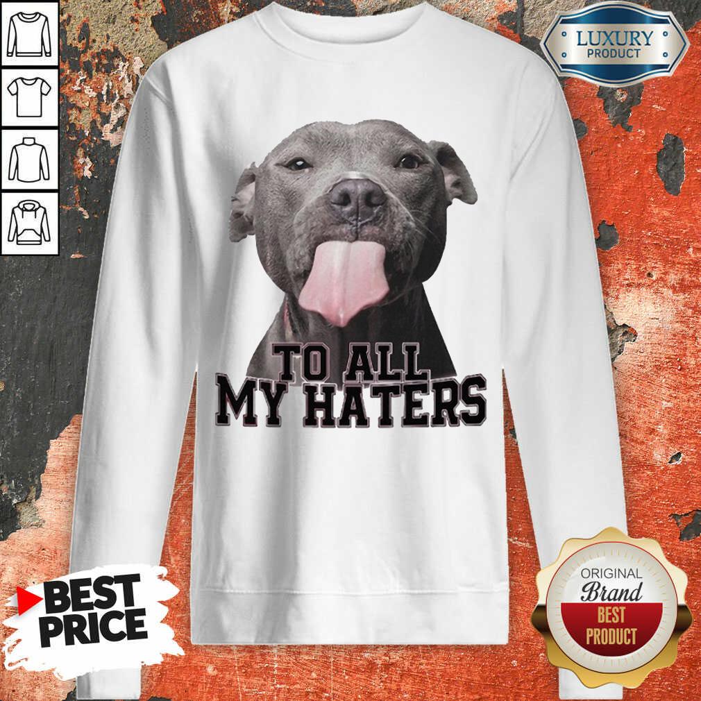 Happy Pitbull To All My Haters Shirt