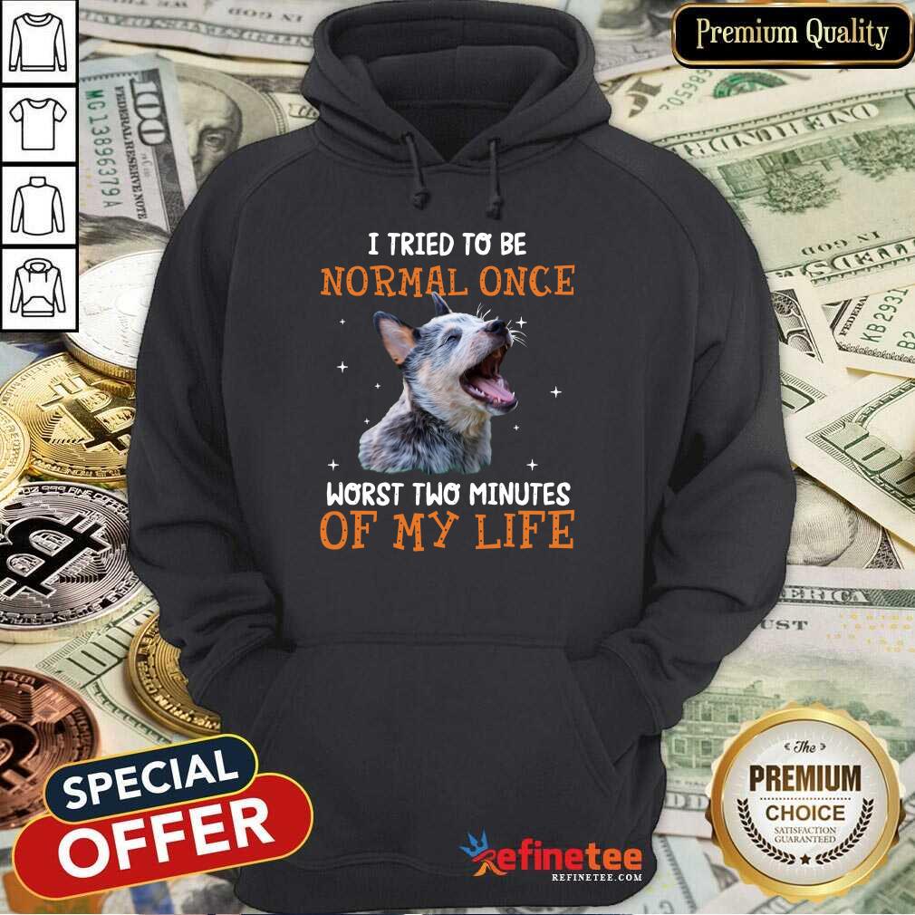 Heeler I Tried To Be Normal Once Worst Two Minutes Of My Life Shirt
