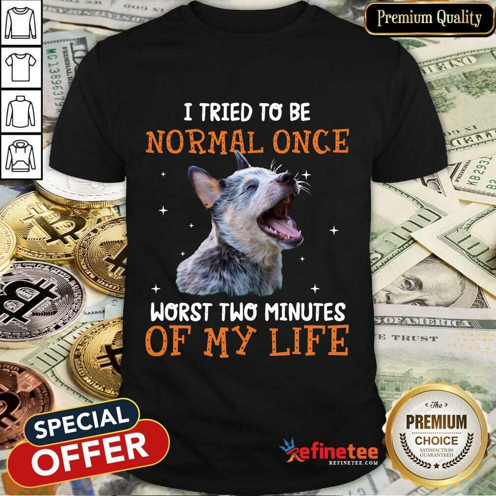 Heeler I Tried To Be Normal Once Worst Two Minutes Of My Life Shirt