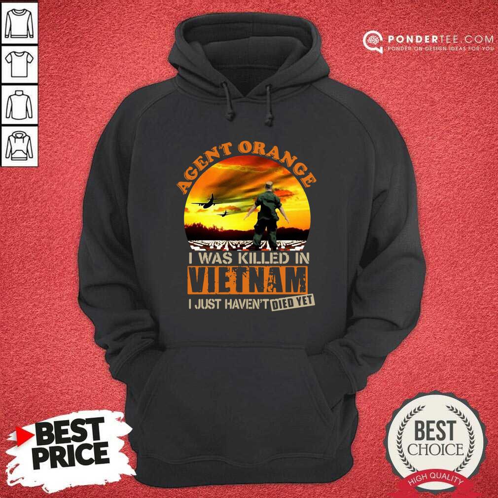 hot-agent-orange-i-was-killed-in-vietnam-veteran-i-just-havent-died-yet-hoodie.jpg