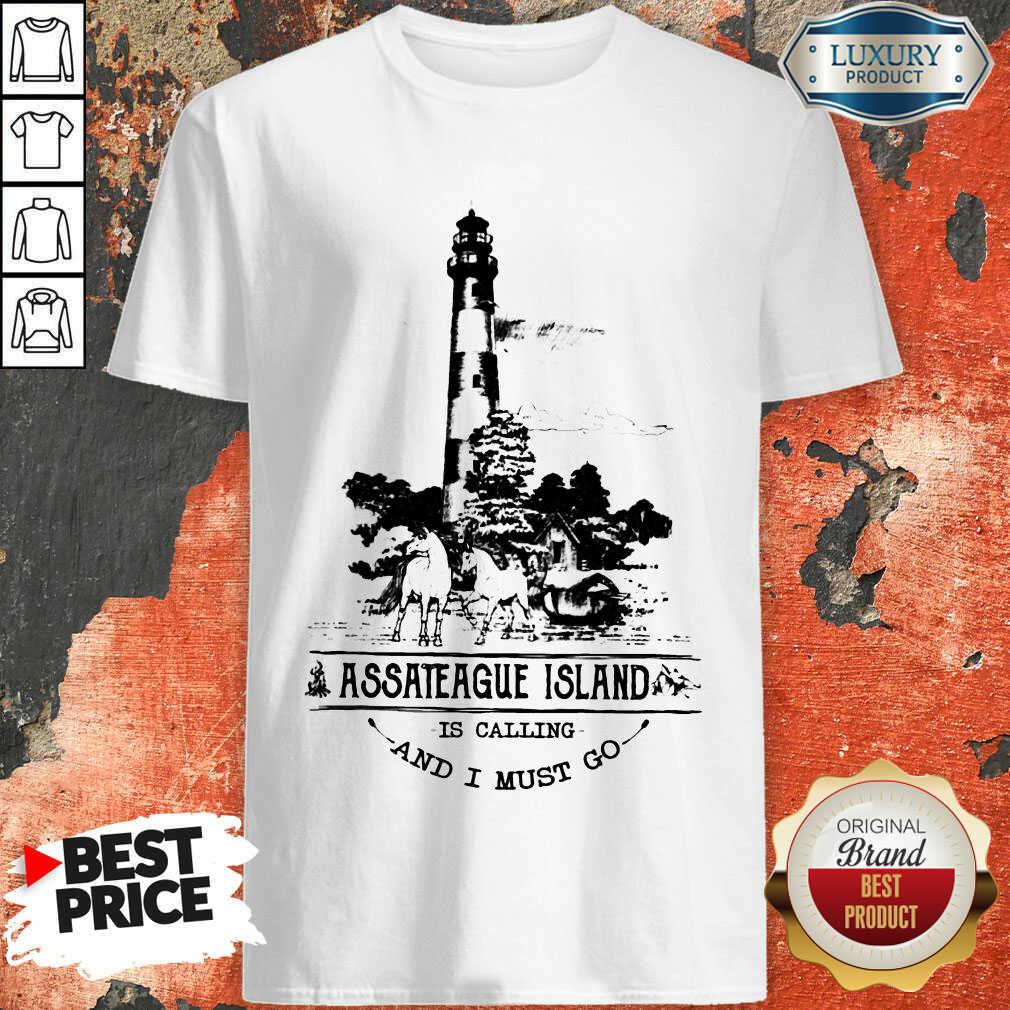 Hot Assateague Island Is Calling And I Must Go Shirt