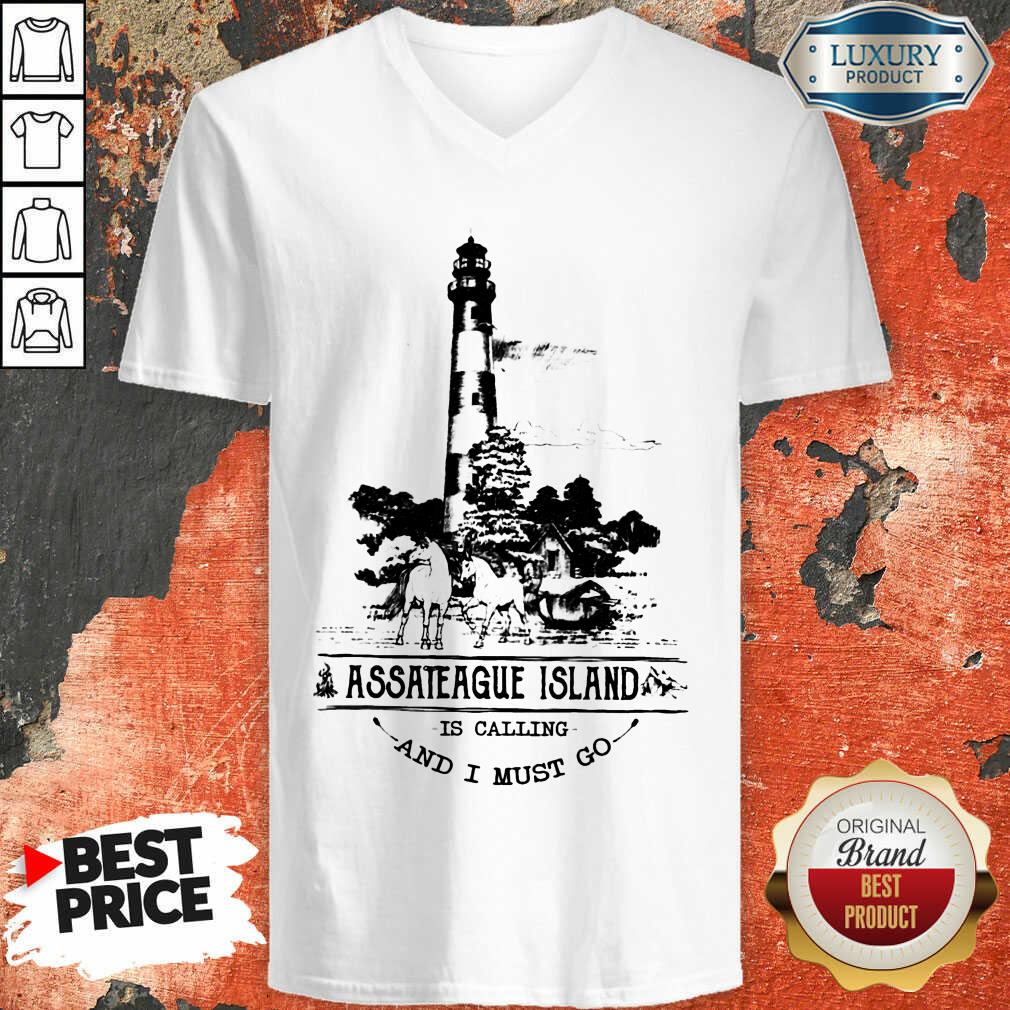 Hot Assateague Island Is Calling And I Must Go Shirt