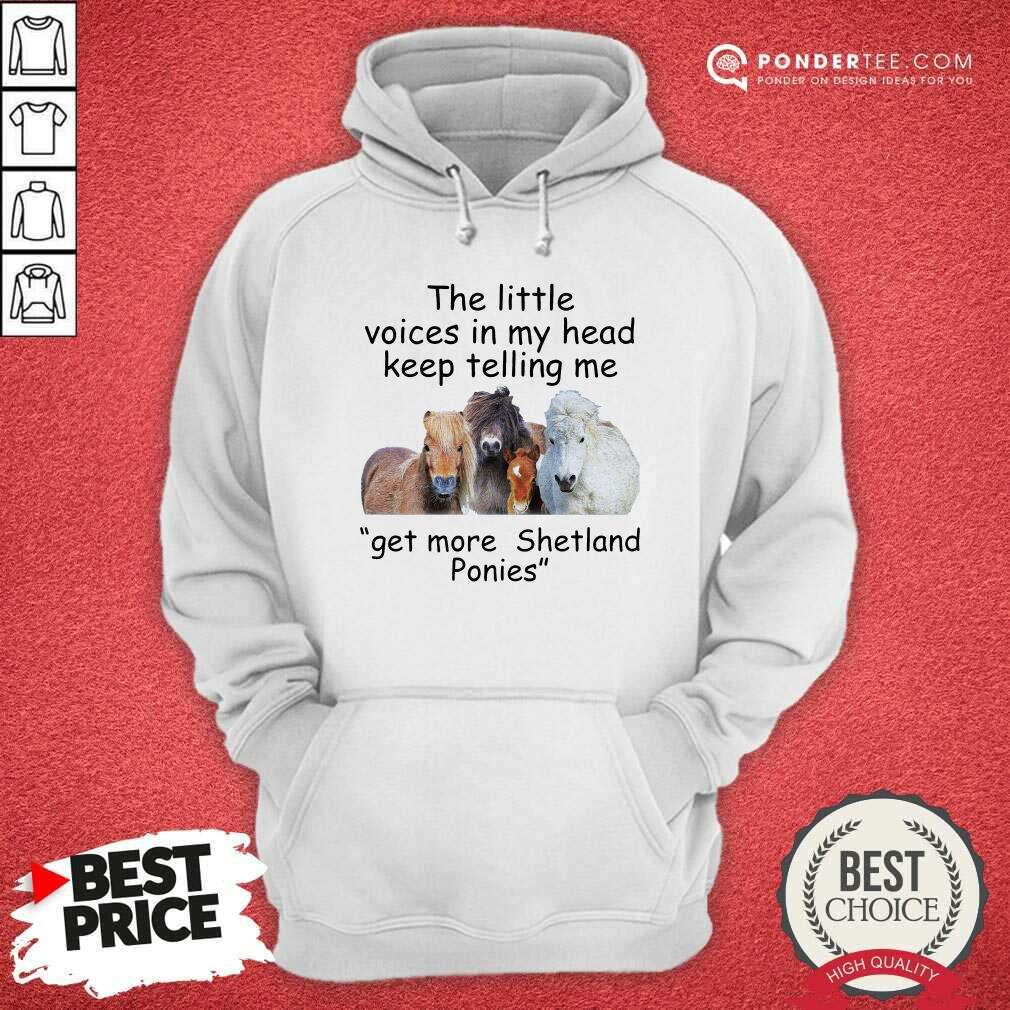 hot-the-little-voices-in-my-head-keep-telling-me-get-more-hoodie.jpg