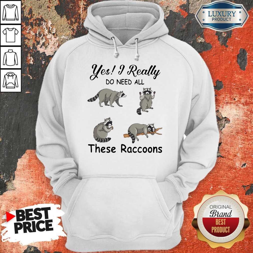 Hot Yes I Really Do Need All These Raccoons Shirt