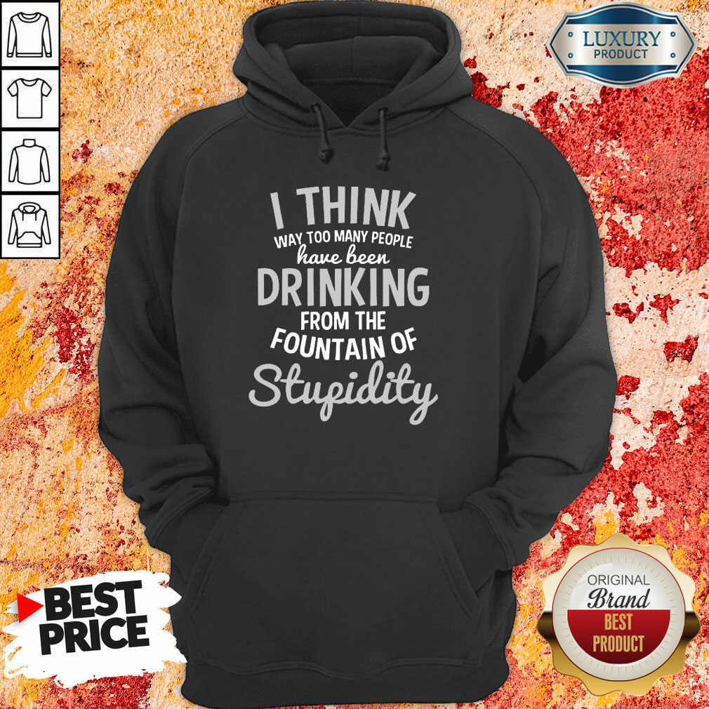 i-think-way-too-many-people-have-been-drinking-from-the-fountain-of-stupidity-hoodie.jpg