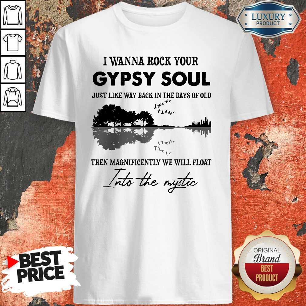 I Wanna Rock Your Gypsy Soul Violon Lake Shadow Classic T-Shirt