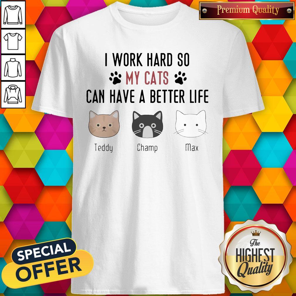 I work hard so my cats can have a better life teddy champ max shirt