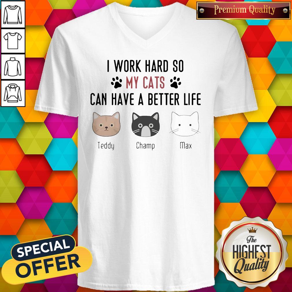 I work hard so my cats can have a better life teddy champ max shirt
