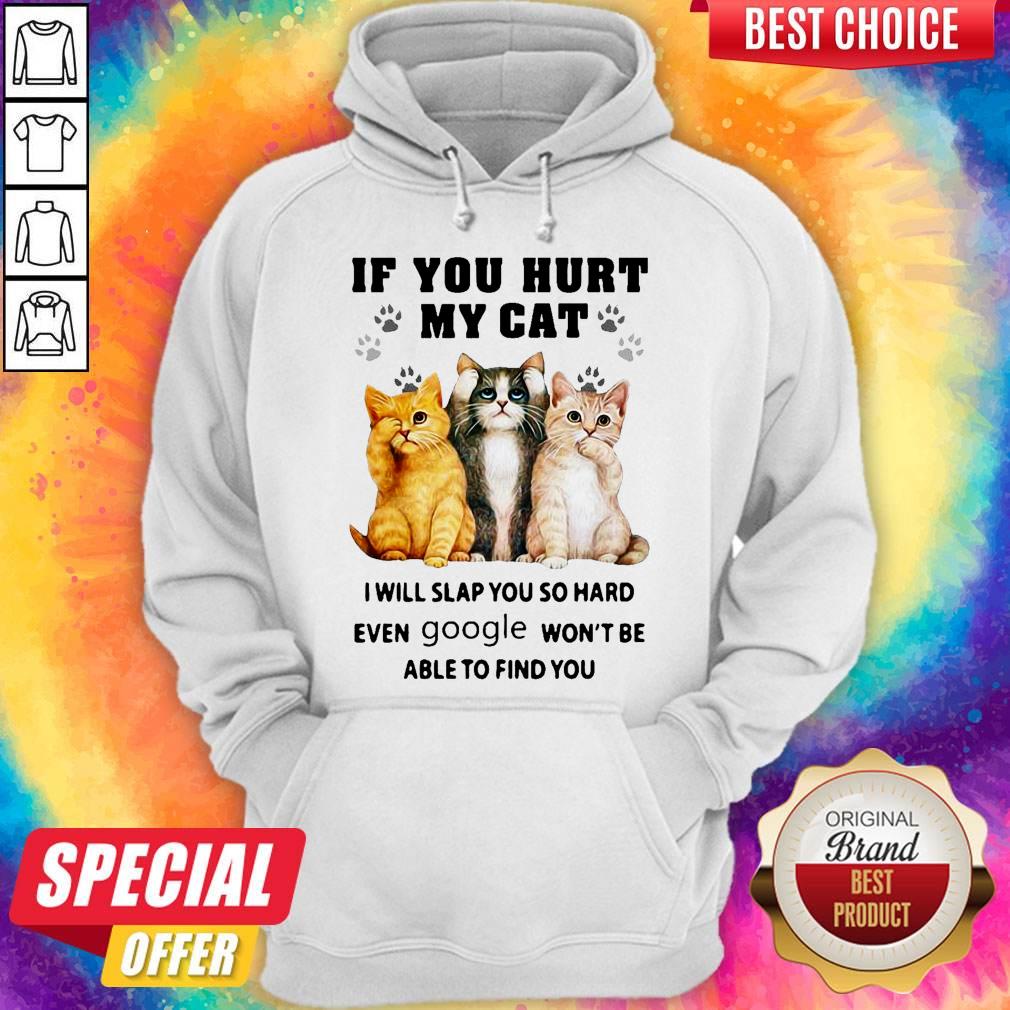 if-you-hurt-my-cat-i-will-slap-you-so-hard-even-google-wont-be-able-to-find-you-hoodie.jpg