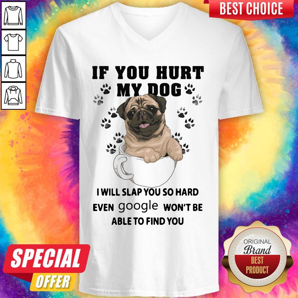 if-you-hurt-my-dog-i-will-slap-you-so-hard-even-google-wont-be-able-to-find-you-dog-v-neck.jpg