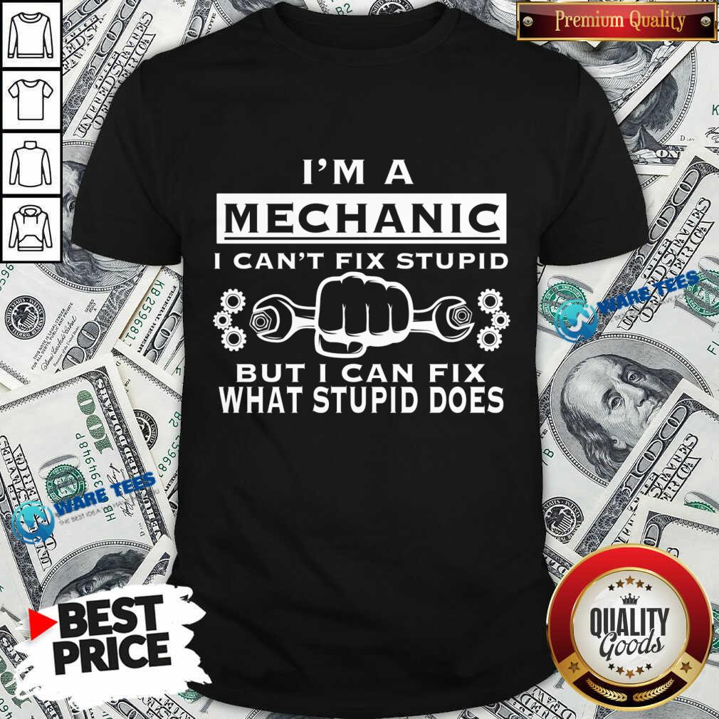 I'm A Mechanic I Can't Fix Stupid Shirt