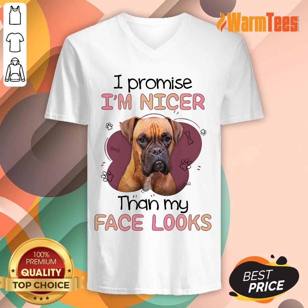 I'm Nicer Than My Face Looks Pug Dog Shirt