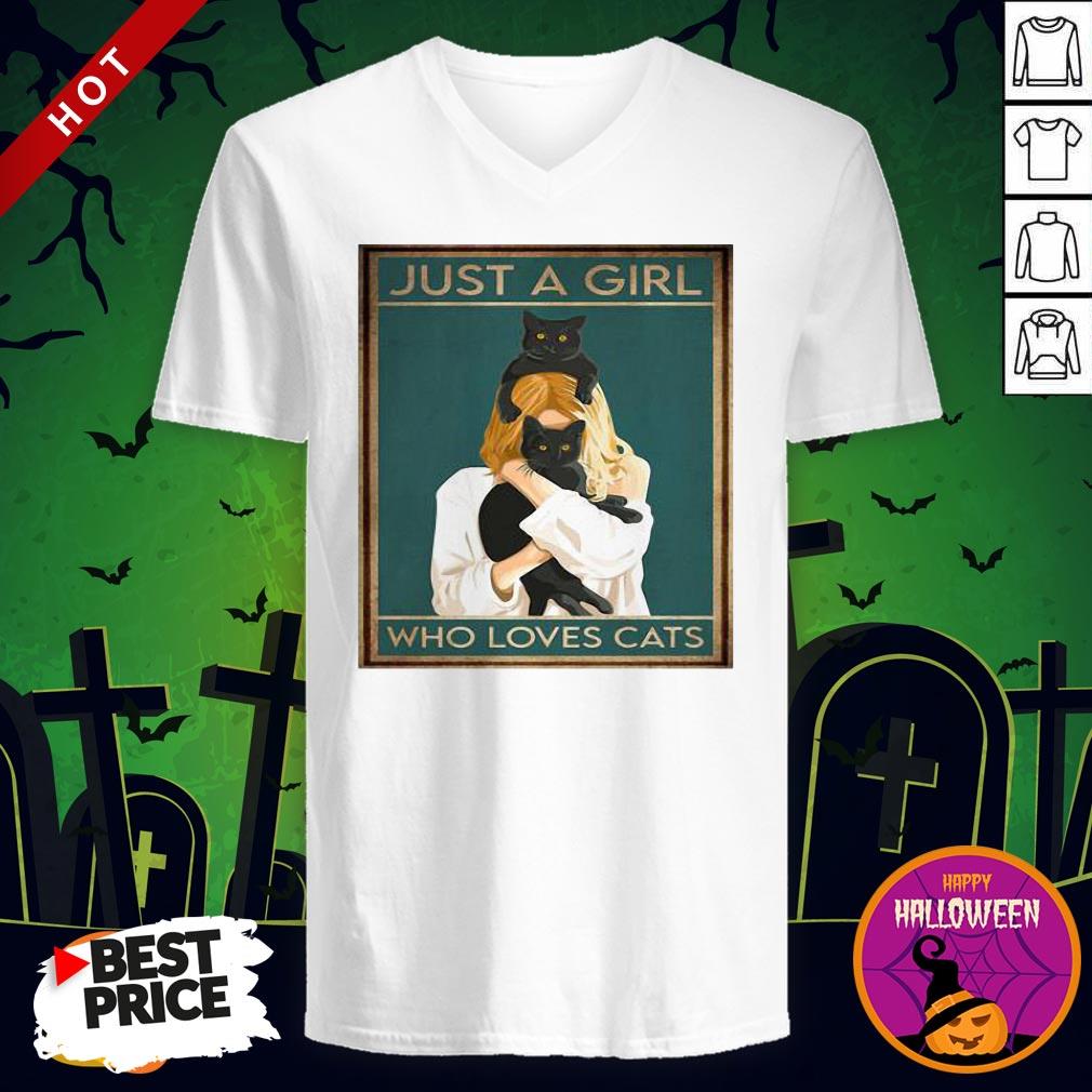Just A Woman Who Loves Black Cats Shirt