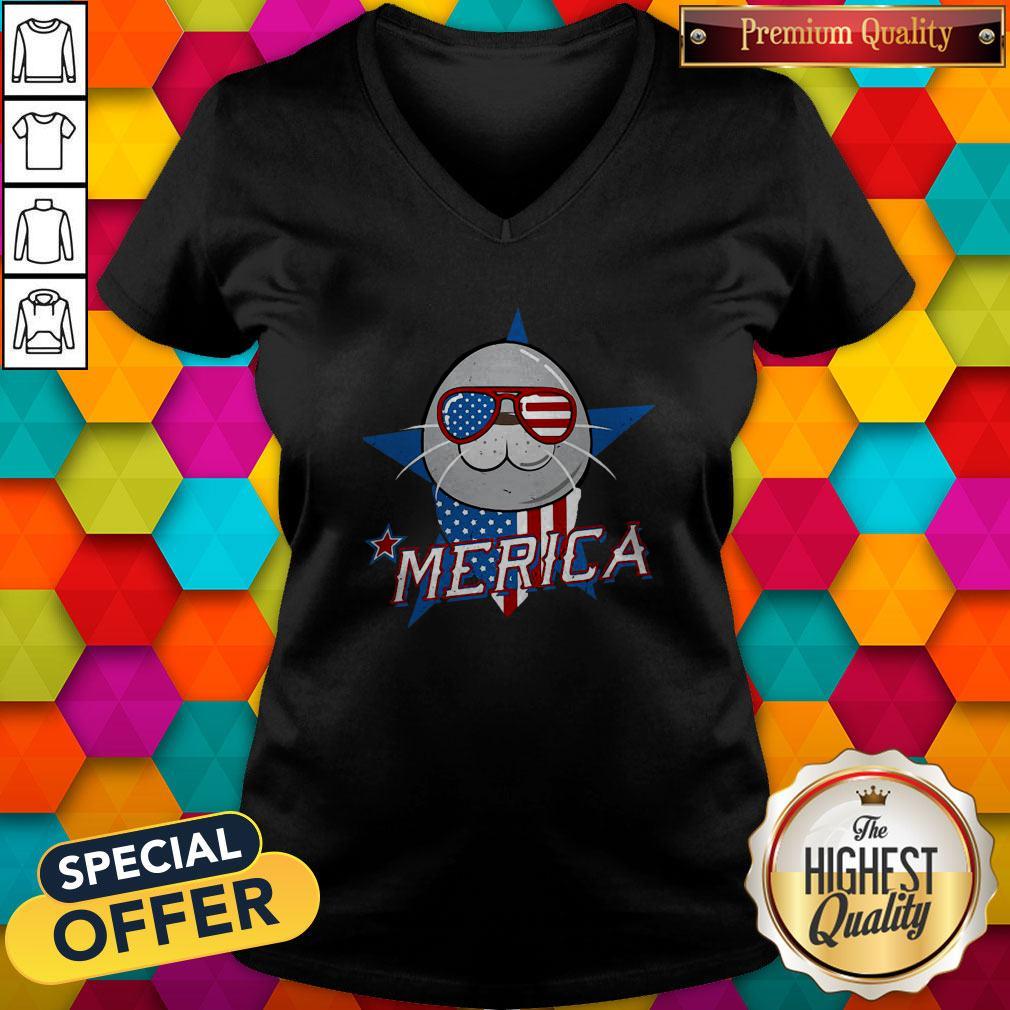 Love Seal Merica American Flag Shirt