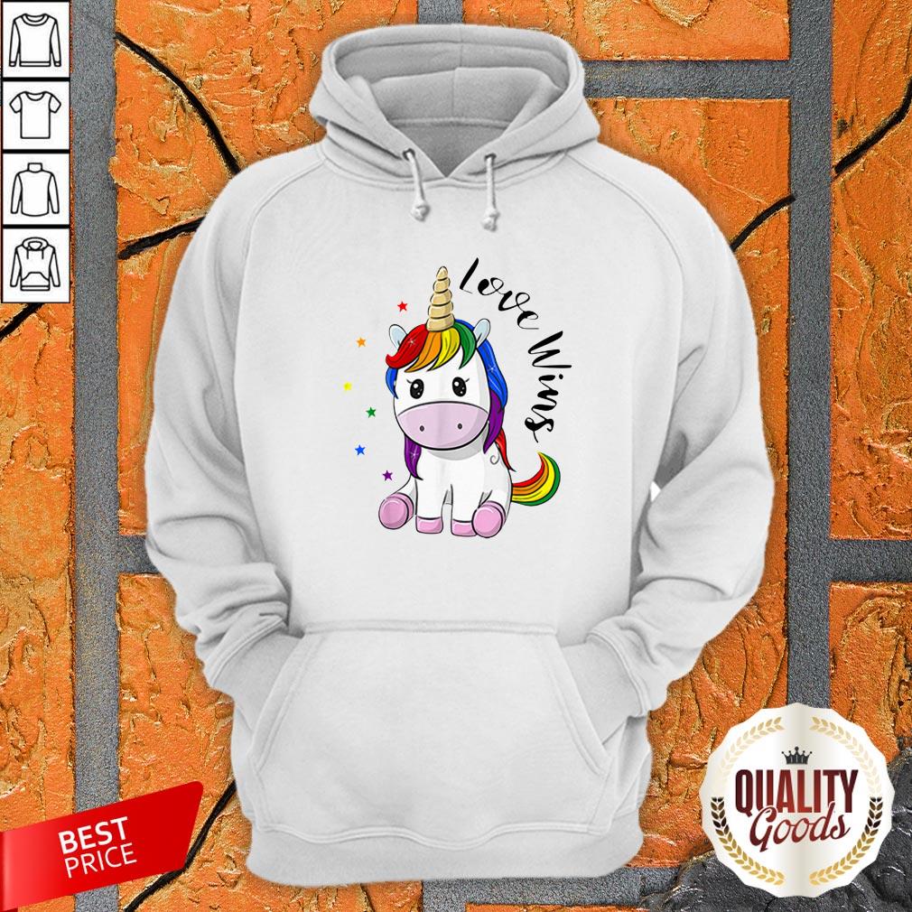Love Wins LGBT Gay Lesbian Pride Month Rainbow Unicorn Shirt