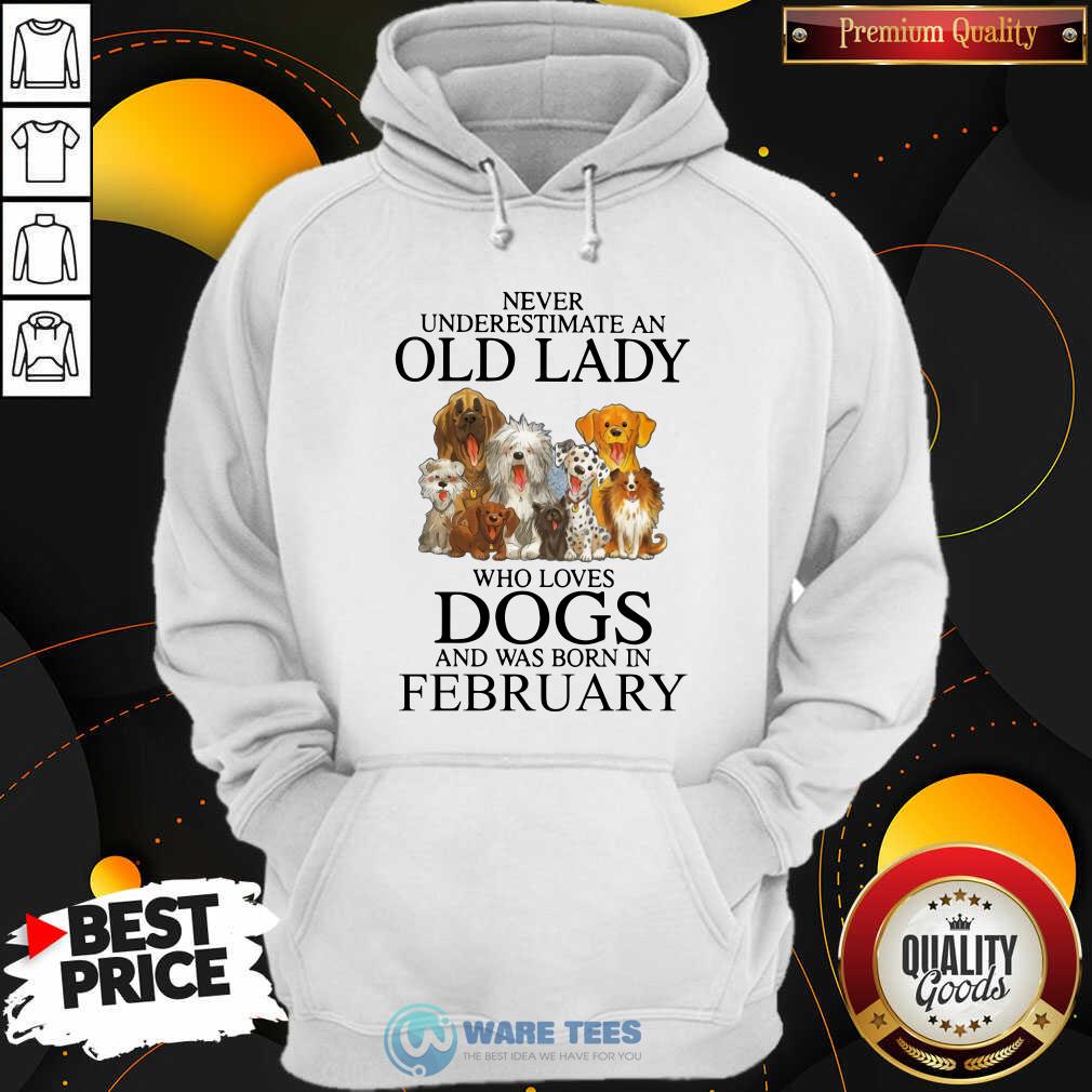 Never Underestimate A Feb Lady Who Loves Dogs Shirt