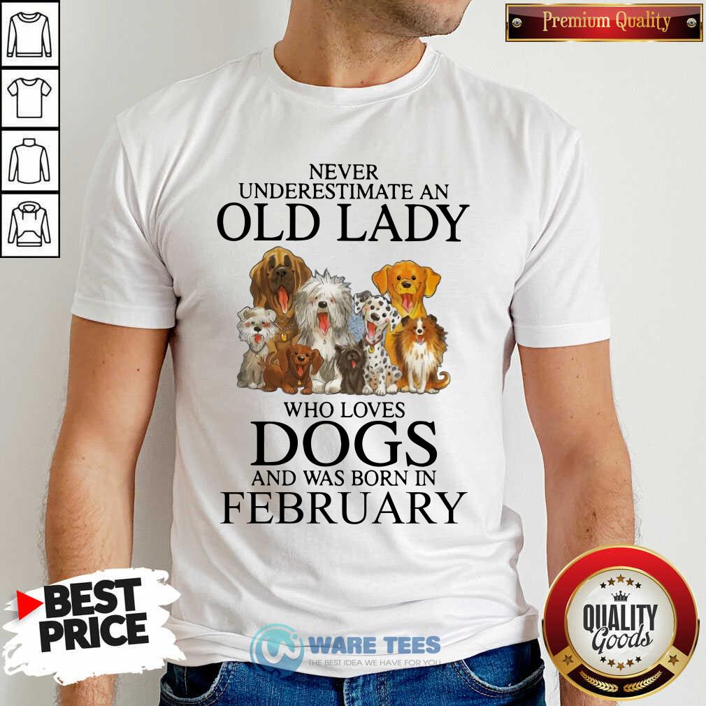 Never Underestimate A Feb Lady Who Loves Dogs Shirt