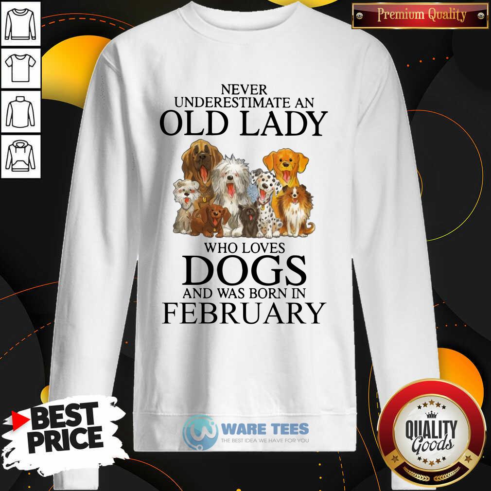Never Underestimate A Feb Lady Who Loves Dogs Shirt