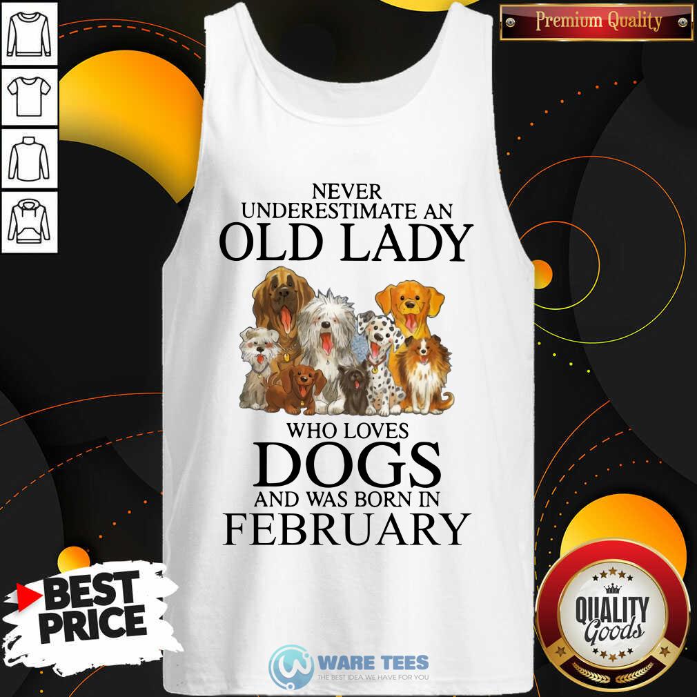 Never Underestimate A Feb Lady Who Loves Dogs Shirt