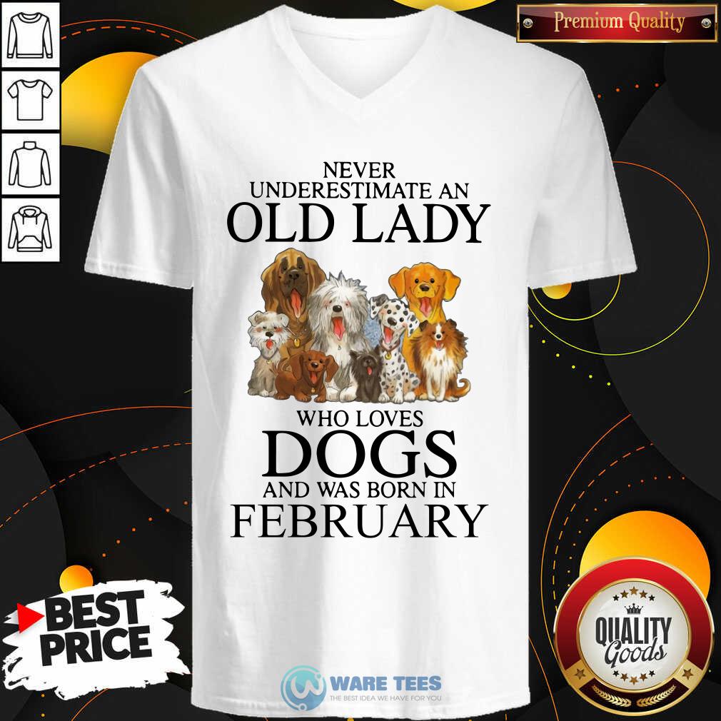 Never Underestimate A Feb Lady Who Loves Dogs Shirt