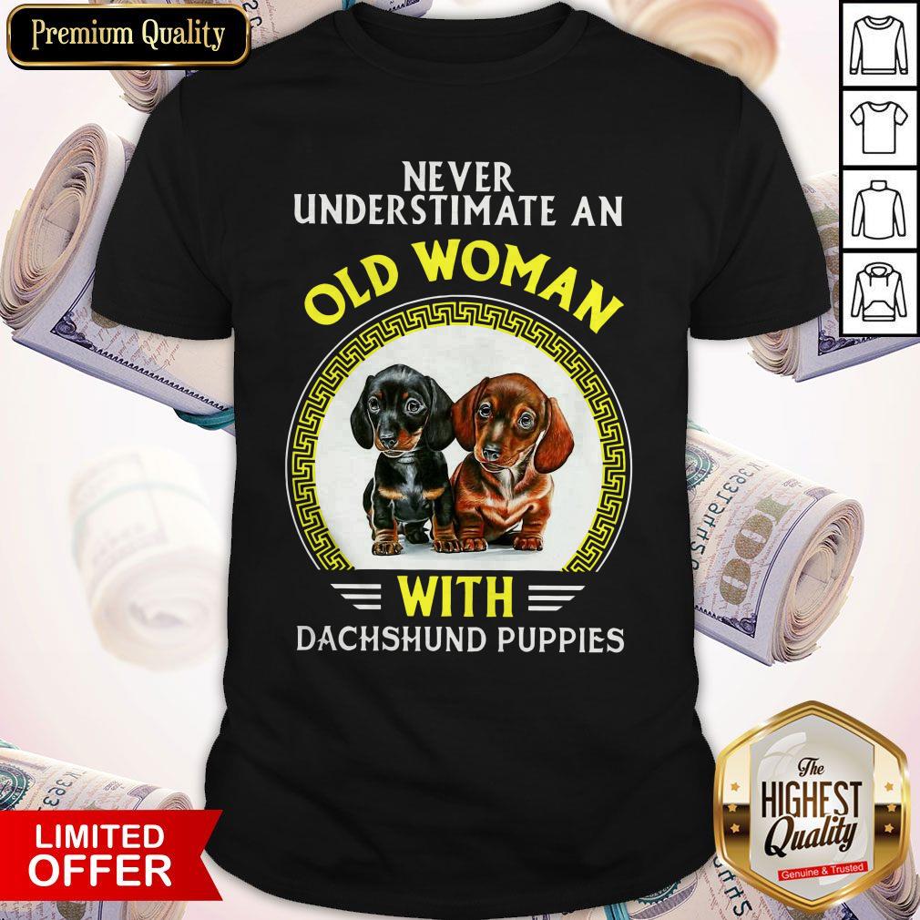 Never Underestimate An Old Woman With Dachshund Puppies Shirt