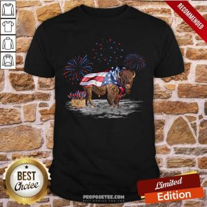 Bison Happy 4th Of July Shirt