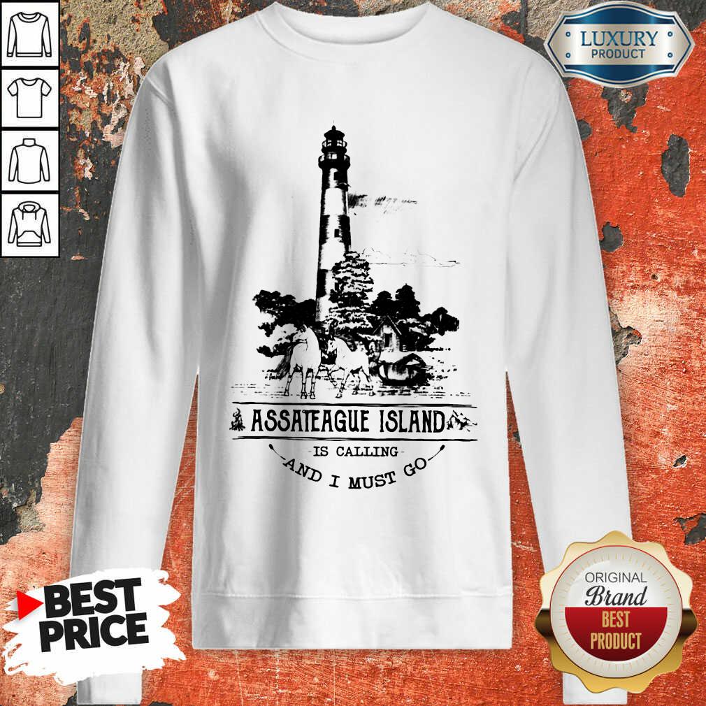 Nice Assateague Island Is Calling And I Must Go Shirt