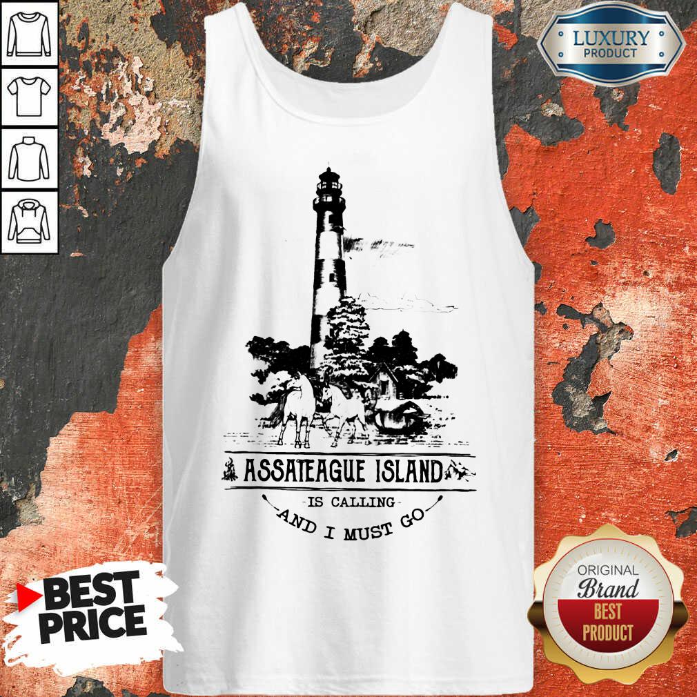 Nice Assateague Island Is Calling And I Must Go Shirt